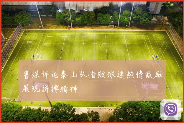 鲁媒评论泰山队惜败球迷热情鼓励展现拼搏精神